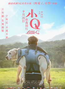 作为厦门会晤的系列活动之一，“2017中国成都·金砖国家电影节”将于2017年6月23-27日在成都举行。